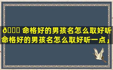 🕊 命格好的男孩名怎么取好听「命格好的男孩名怎么取好听一点」